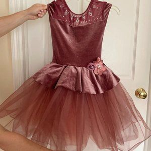 Rose Girls Ballet Costume | Fit for Dancers | Halloween Costume | Worn as Dress